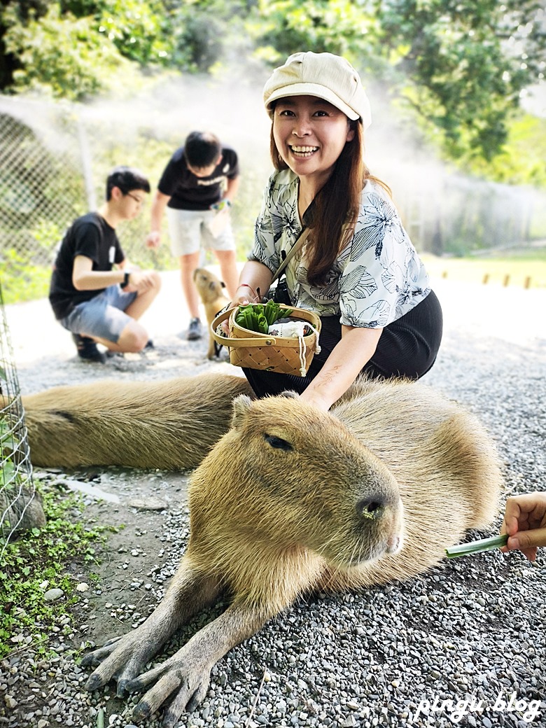 斑比山丘 Bambi Land｜與卡哇伊的卡比巴拉黑糖牛奶霜淇淋 來一場與鹿共舞的童話旅程！