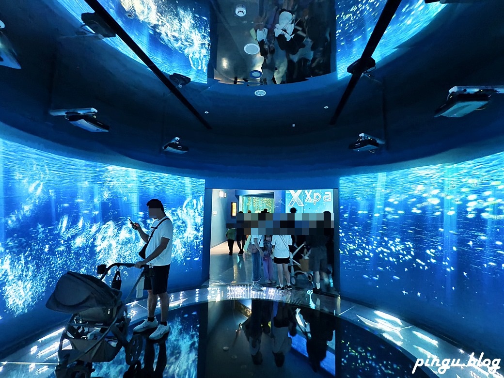 Xpark 水族館｜沉浸式海洋奇幻之旅 城市中療癒的水世界 桃園青埔親子必遊景點
