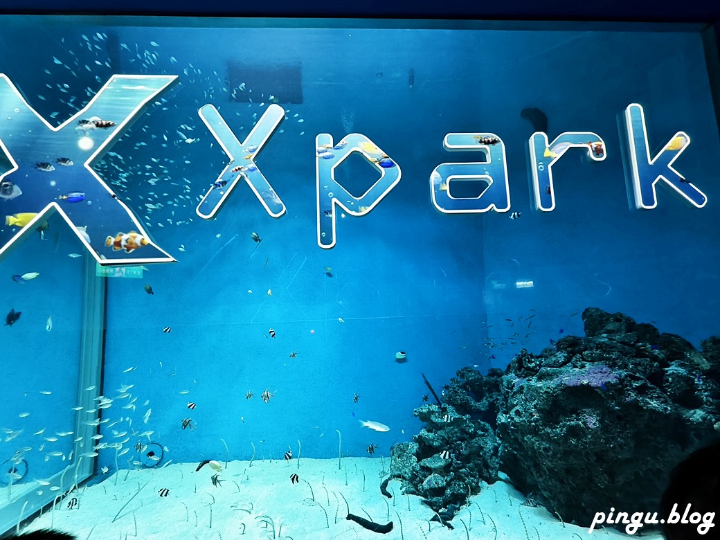 Xpark 水族館｜沉浸式海洋奇幻之旅 城市中療癒的水世界 桃園青埔親子必遊景點
