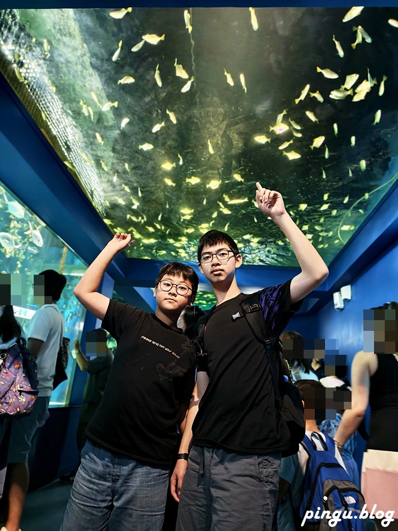 Xpark 水族館｜沉浸式海洋奇幻之旅 城市中療癒的水世界 桃園青埔親子必遊景點