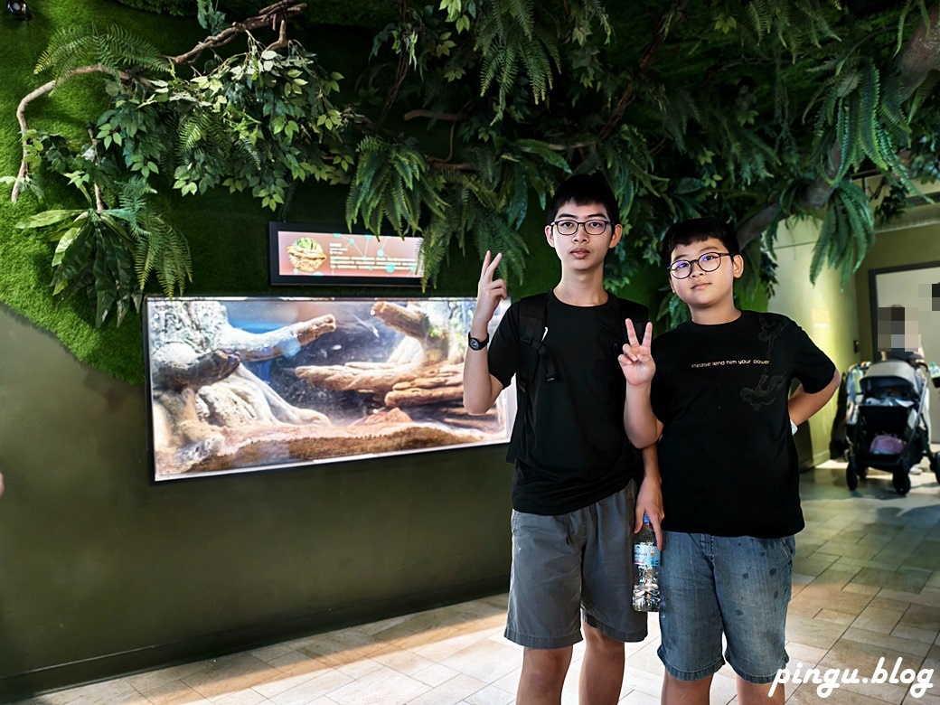 Xpark 水族館｜沉浸式海洋奇幻之旅 城市中療癒的水世界 桃園青埔親子必遊景點
