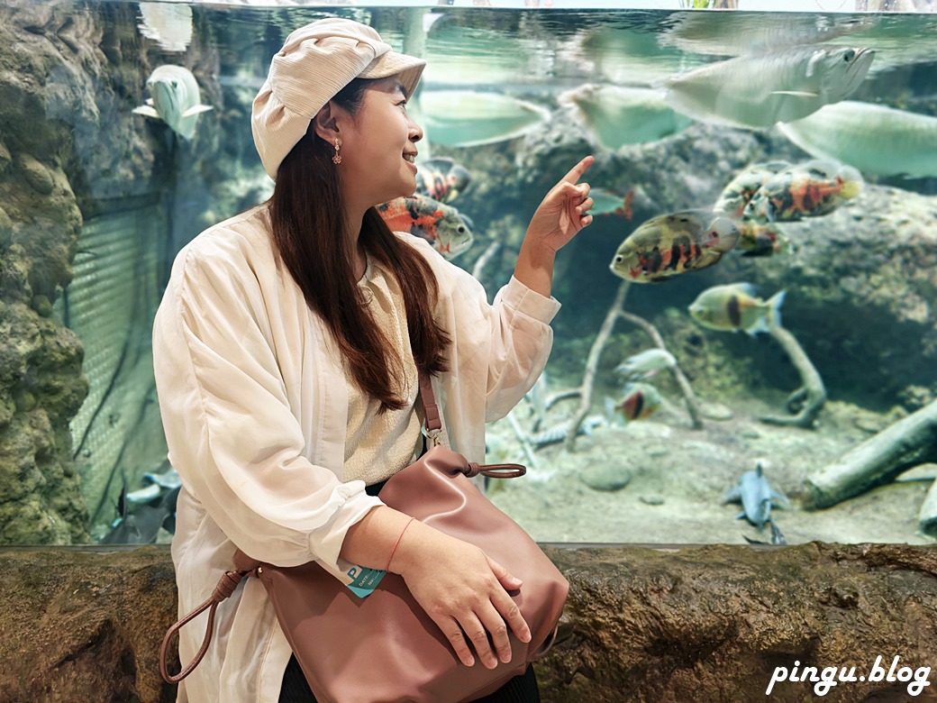 Xpark 水族館｜沉浸式海洋奇幻之旅 城市中療癒的水世界 桃園青埔親子必遊景點