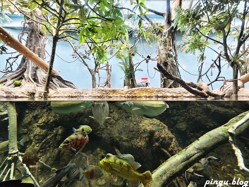 Xpark 水族館｜沉浸式海洋奇幻之旅 城市中療癒的水世界 桃園青埔親子必遊景點