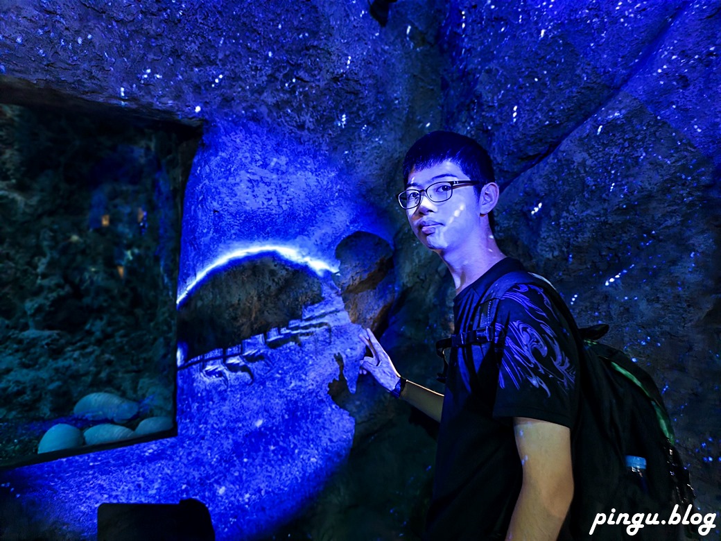 Xpark 水族館｜沉浸式海洋奇幻之旅 城市中療癒的水世界 桃園青埔親子必遊景點