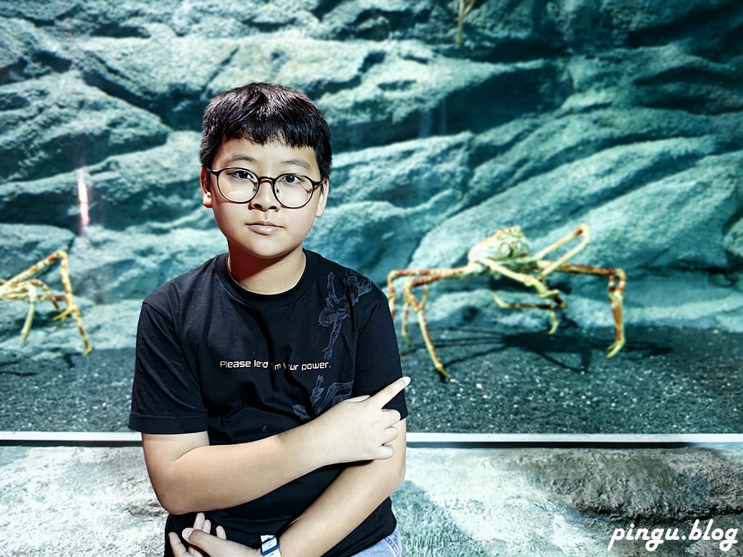 Xpark 水族館｜沉浸式海洋奇幻之旅 城市中療癒的水世界 桃園青埔親子必遊景點