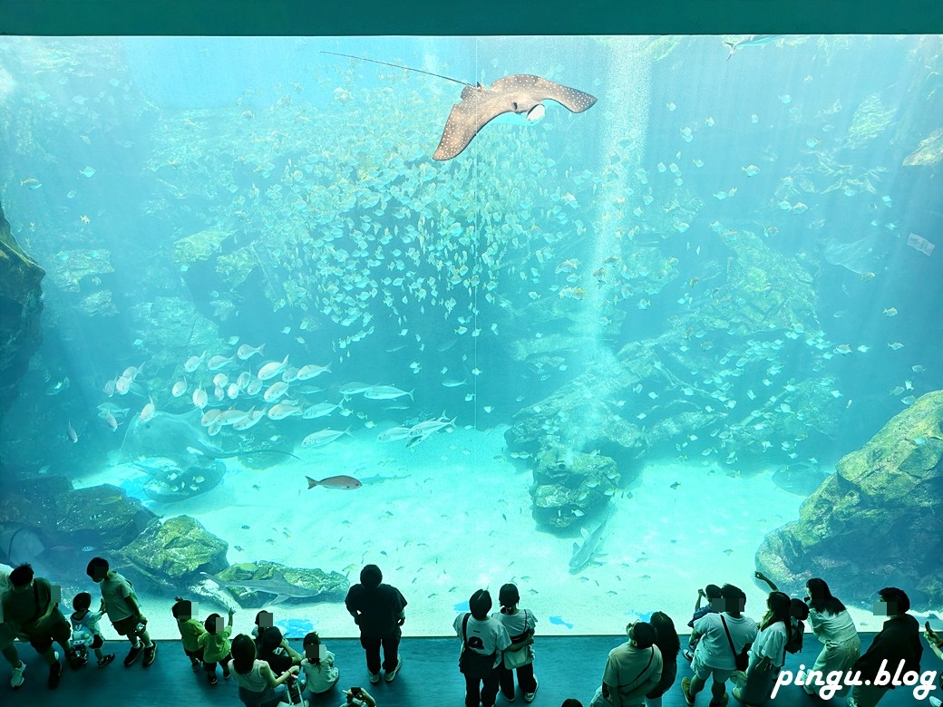 Xpark 水族館｜沉浸式海洋奇幻之旅 城市中療癒的水世界 桃園青埔親子必遊景點