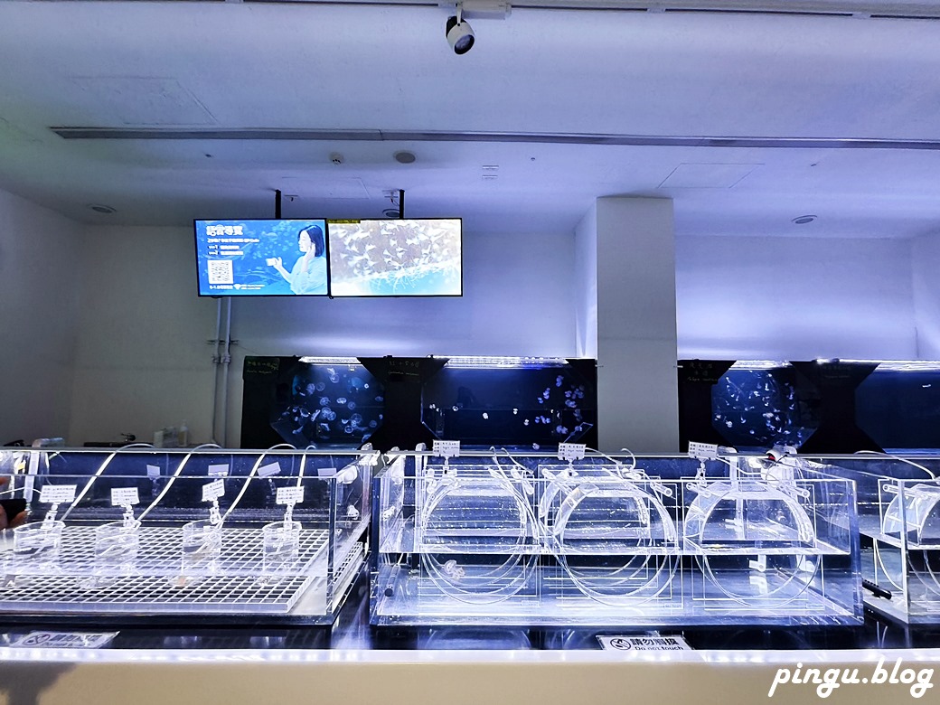 Xpark 水族館｜沉浸式海洋奇幻之旅 城市中療癒的水世界 桃園青埔親子必遊景點