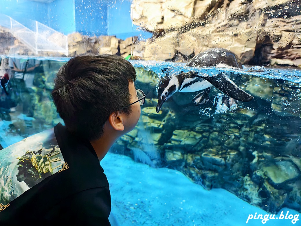 Xpark 水族館｜沉浸式海洋奇幻之旅 城市中療癒的水世界 桃園青埔親子必遊景點