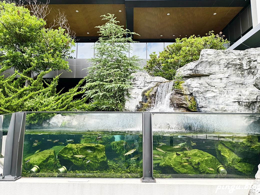 Xpark 水族館｜沉浸式海洋奇幻之旅 城市中療癒的水世界 桃園青埔親子必遊景點