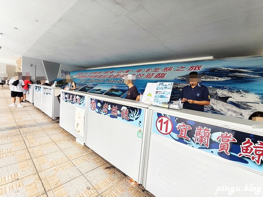 宜蘭賞鯨龜山島半日遊｜海豚共舞 環繞龜山島 登島探秘 三合一的海上奇幻旅程
