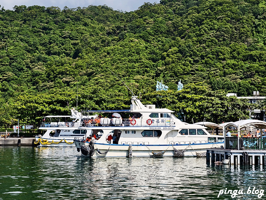 宜蘭賞鯨龜山島半日遊｜海豚共舞 環繞龜山島 登島探秘 三合一的海上奇幻旅程