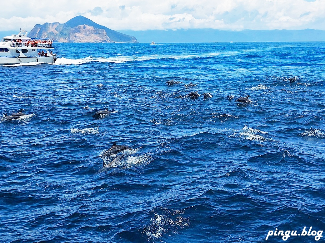 宜蘭賞鯨龜山島半日遊｜海豚共舞 環繞龜山島 登島探秘 三合一的海上奇幻旅程
