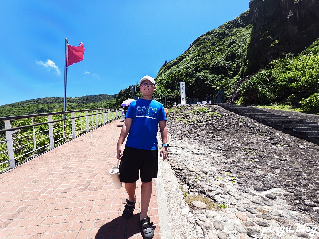 宜蘭賞鯨龜山島半日遊｜海豚共舞 環繞龜山島 登島探秘 三合一的海上奇幻旅程
