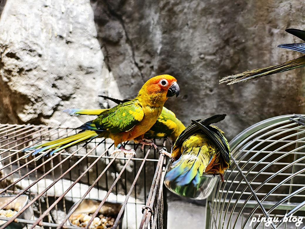 蘭陽動植物王國｜宜蘭親子旅遊首選 零距離餵食小動物的樂園