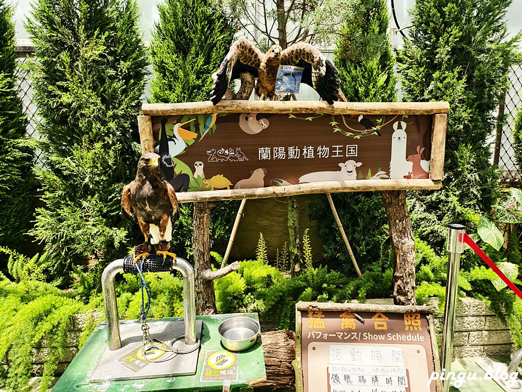 蘭陽動植物王國｜宜蘭親子旅遊首選 零距離餵食小動物的樂園