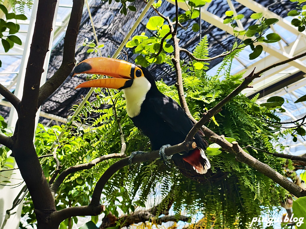 蘭陽動植物王國｜宜蘭親子旅遊首選 零距離餵食小動物的樂園