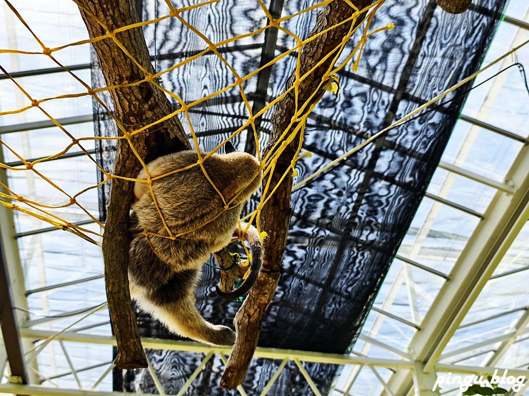 蘭陽動植物王國｜宜蘭親子旅遊首選 零距離餵食小動物的樂園