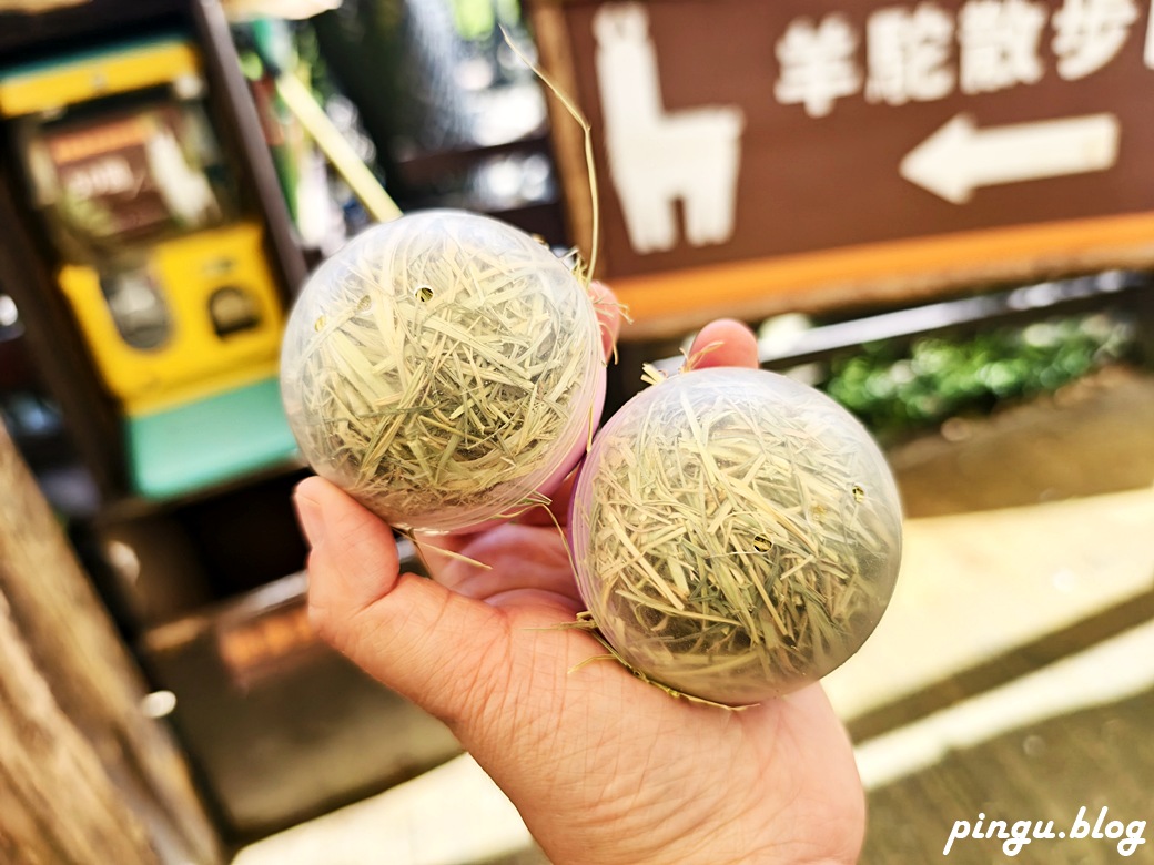 蘭陽動植物王國｜宜蘭親子旅遊首選 零距離餵食小動物的樂園