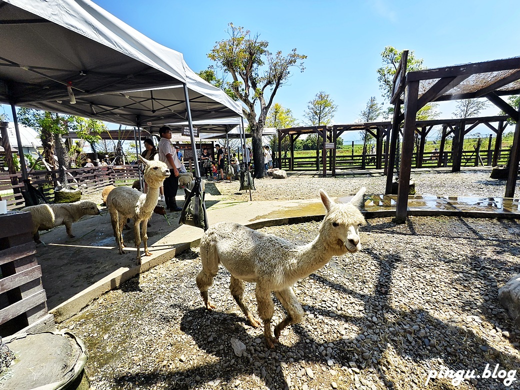 蘭陽動植物王國｜宜蘭親子旅遊首選 零距離餵食小動物的樂園