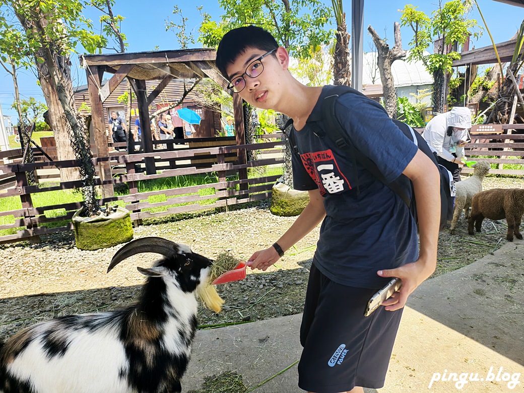 蘭陽動植物王國｜宜蘭親子旅遊首選 零距離餵食小動物的樂園