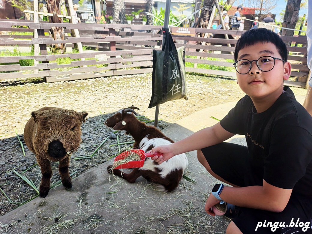 蘭陽動植物王國｜宜蘭親子旅遊首選 零距離餵食小動物的樂園