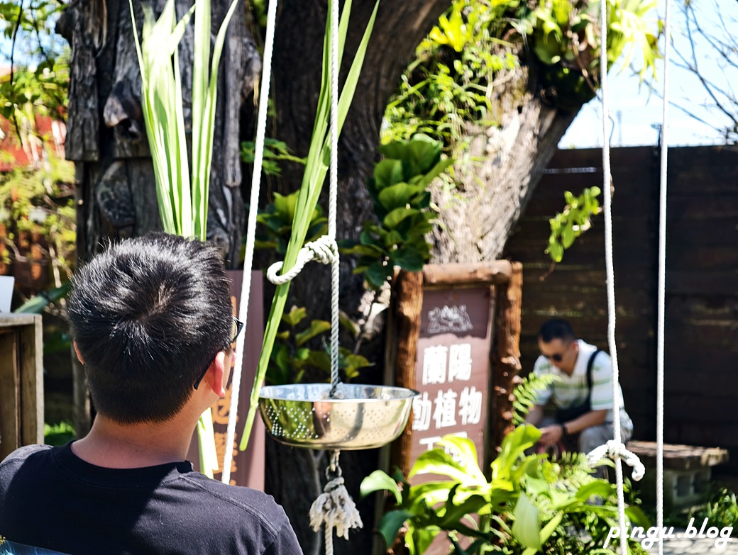 蘭陽動植物王國｜宜蘭親子旅遊首選 零距離餵食小動物的樂園