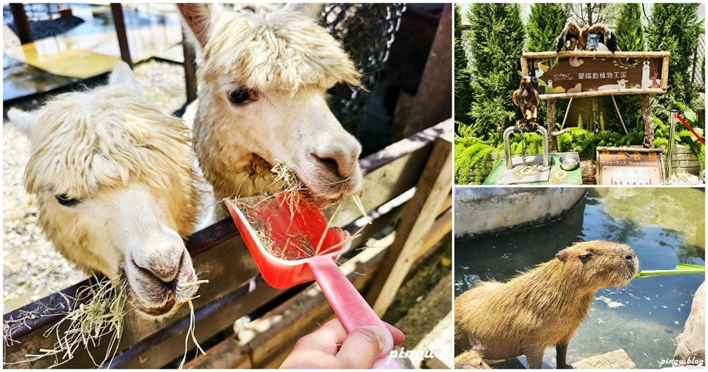 蘭陽動植物王國｜宜蘭親子旅遊首選 零距離餵食小動物的樂園