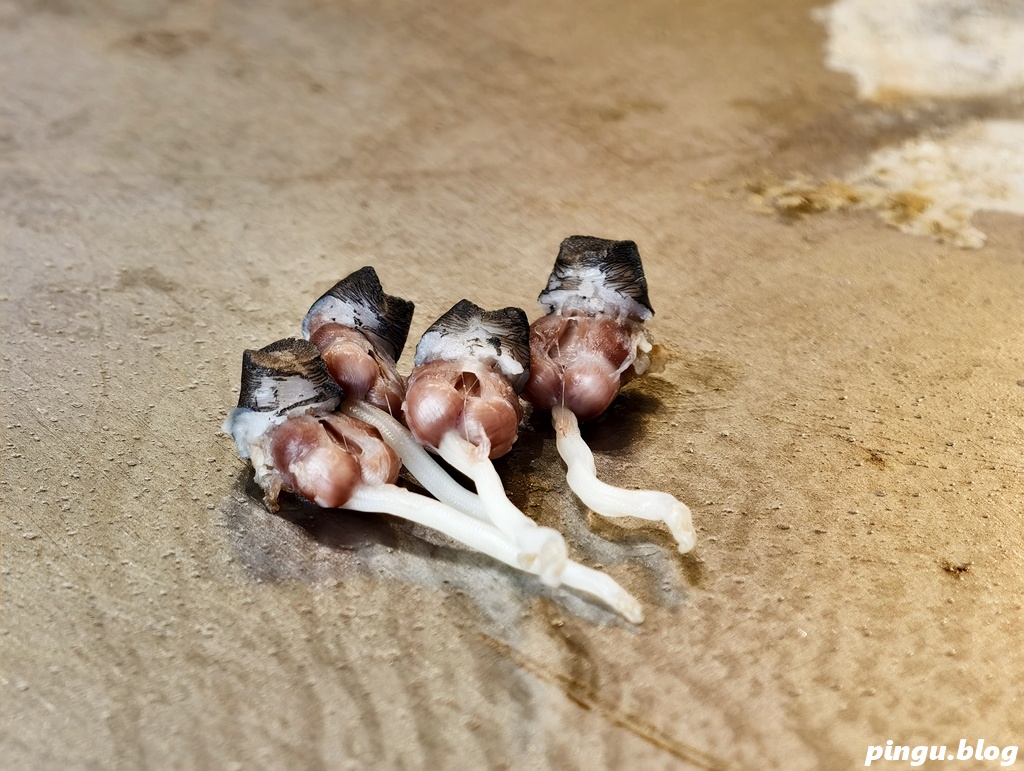 明水然・樂 台中星級店(逢甲)|Google評論4.8顆星 全球最大的無菜單鐵板燒料理品牌 2023.2024.2025連續三年榮獲《網路溫度計》『此生必嚐十大高CP值無菜單鐵板燒!』冠軍 明水然・樂 台中星級店(逢甲)|Google評論4.8顆星 全球最大的無菜單鐵板燒料理品牌 2023.2024.2025連續三年榮獲《網路溫度計》『此生必嚐十大高CP值無菜單鐵板燒!』冠軍