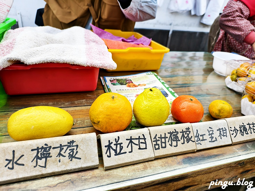 苗栗兩天一夜｜從山線藝境到海線天后遍路 慢慢山海綠色行旅的療癒小旅行