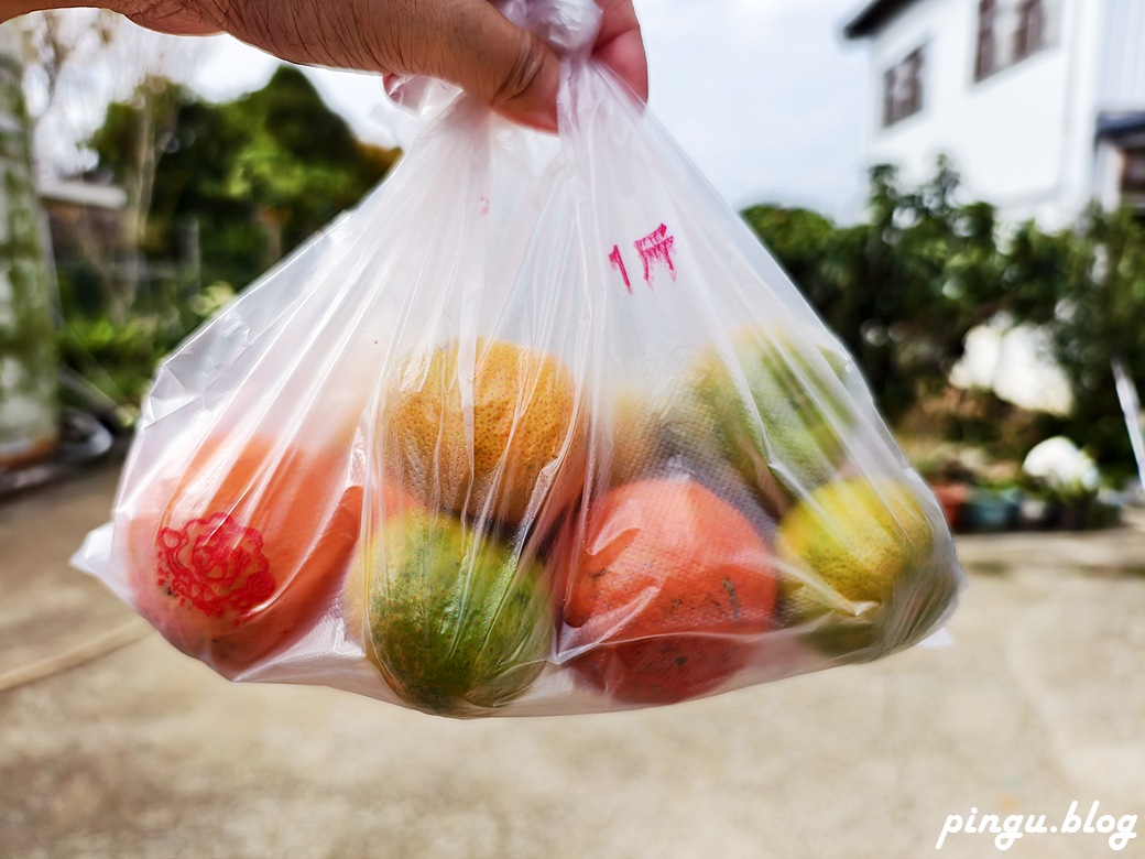 苗栗兩天一夜｜從山線藝境到海線天后遍路 慢慢山海綠色行旅的療癒小旅行