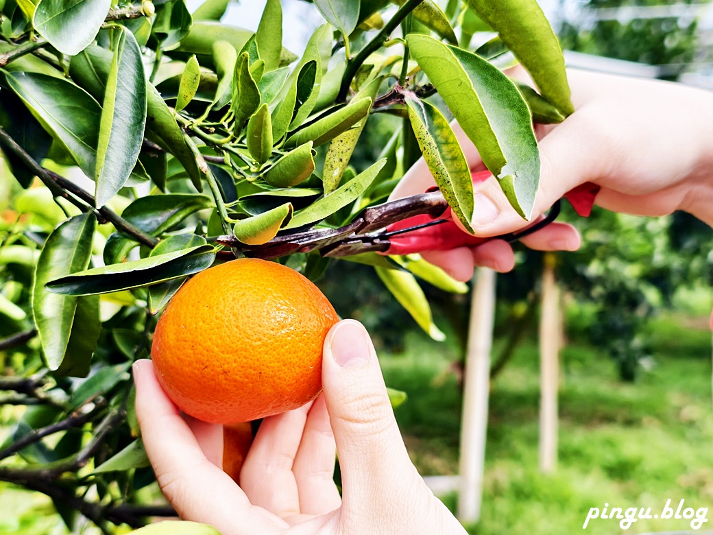 苗栗兩天一夜｜從山線藝境到海線天后遍路 慢慢山海綠色行旅的療癒小旅行