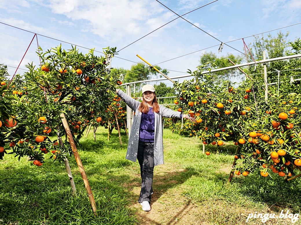 苗栗兩天一夜｜從山線藝境到海線天后遍路 慢慢山海綠色行旅的療癒小旅行