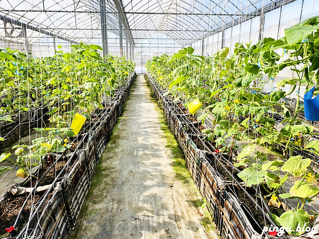 苗栗兩天一夜｜從山線藝境到海線天后遍路 慢慢山海綠色行旅的療癒小旅行